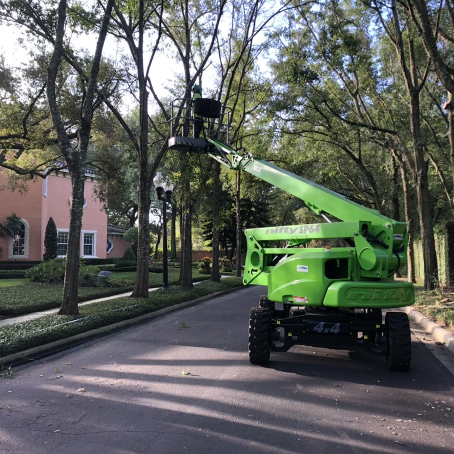 A person in a lift trims trees along a residential street. Pink house in the background surrounded by lush greenery.