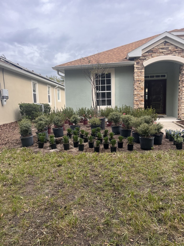 A house with arched stone entrance displays multiple potted plants arranged on the front yard under a cloudy sky.