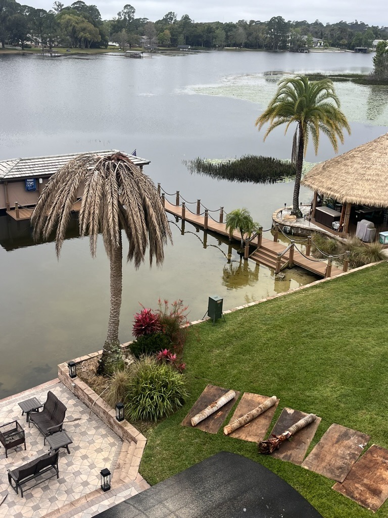 A lakeside view with a dock, patio furniture, palm trees, and a thatched-roof structure near the water, surrounded by lush greenery.