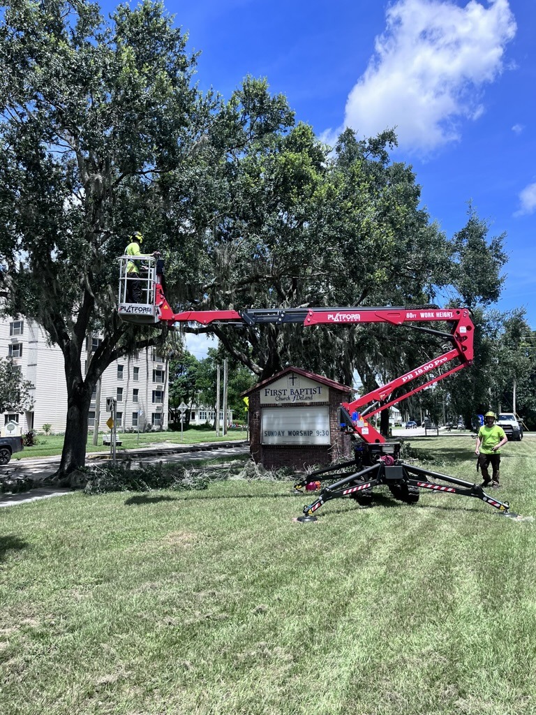 A person trims tree branches using a cherry picker near First Baptist Church building. Another person stands by, surrounded by greenery under a blue sky.