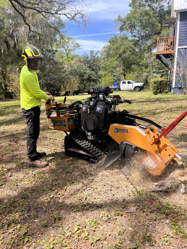 A person operates a Bandit stump grinder in a grassy yard. A pickup truck is parked nearby under clear blue skies and trees.