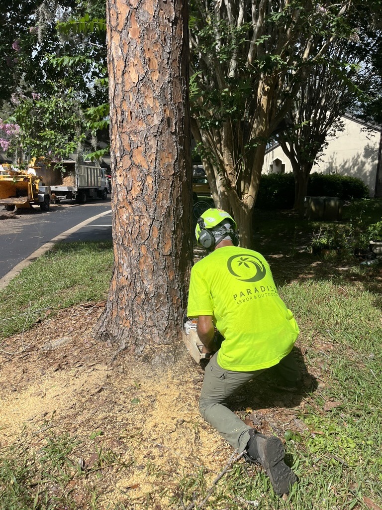 A person in bright gear cuts a tree with a chainsaw near a road, surrounded by greenery and parked utility vehicles.
