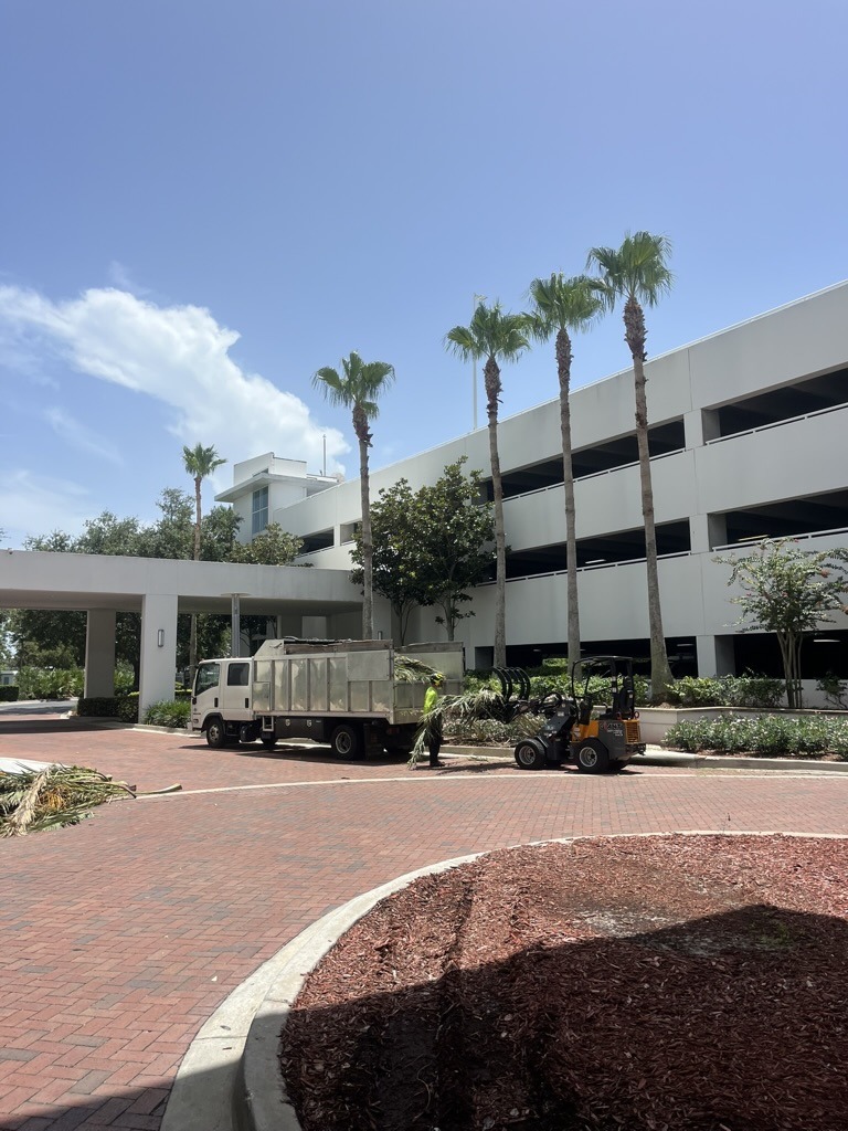 A person operates equipment near a white building with palm trees, unloading debris into a truck. Scene is outdoors under a clear sky.