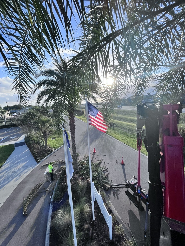 A person in a safety vest trims palm trees near an American flag. Traffic cones and maintenance equipment are visible on the road.