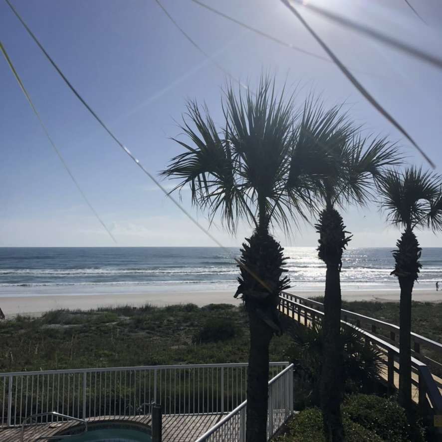 Palm trees line a sunny beach, overlooking a wooden walkway, with a fenced area in the foreground and ocean waves in the background.