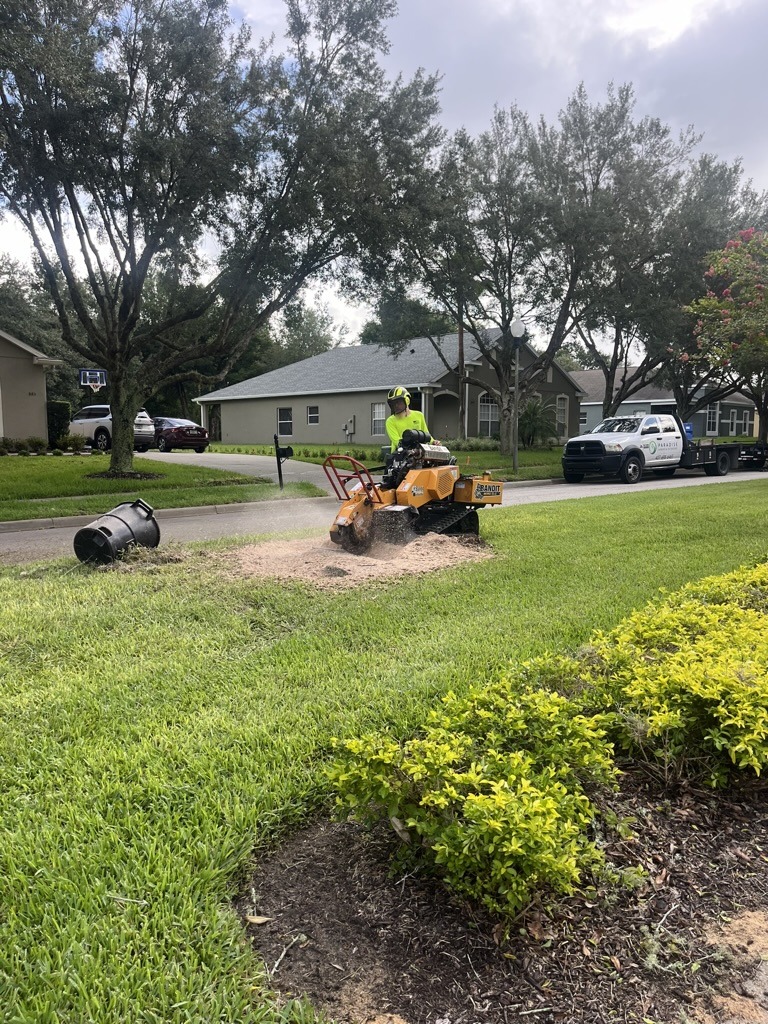A person operates a stump grinder on a well-kept lawn in a suburban neighborhood, with trees, houses, and parked vehicles in the background.