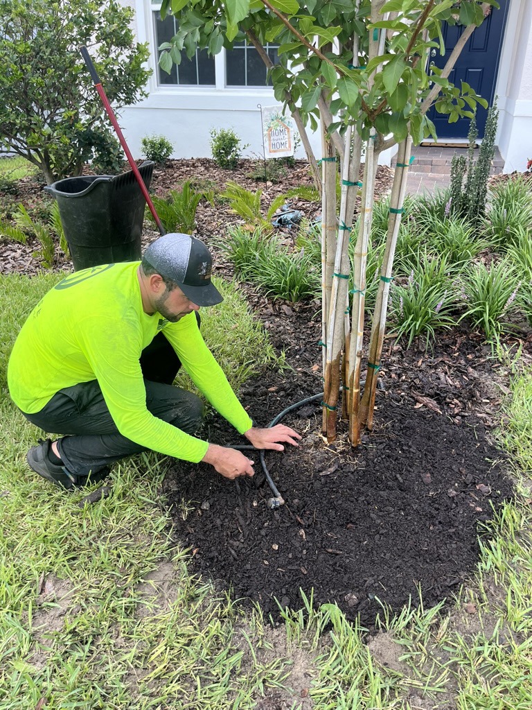 A person in a bright shirt tends to a newly planted tree in a garden, near a white house with a blue door.