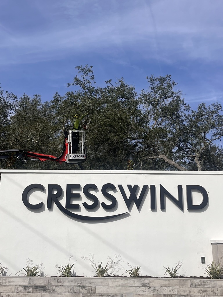 A person in a lift beside a white wall with "Cresswind" logo, surrounded by trees under a blue sky.