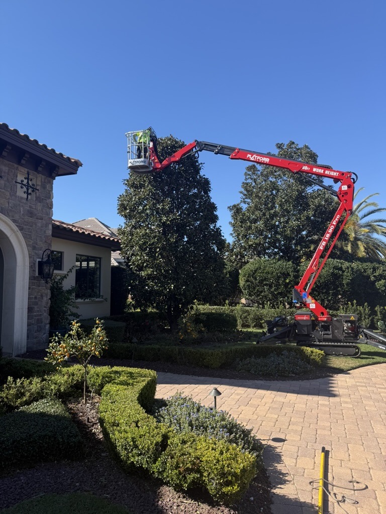 A person operates a red lift near a stone house, trimming tall trees in a landscaped garden under a clear blue sky.