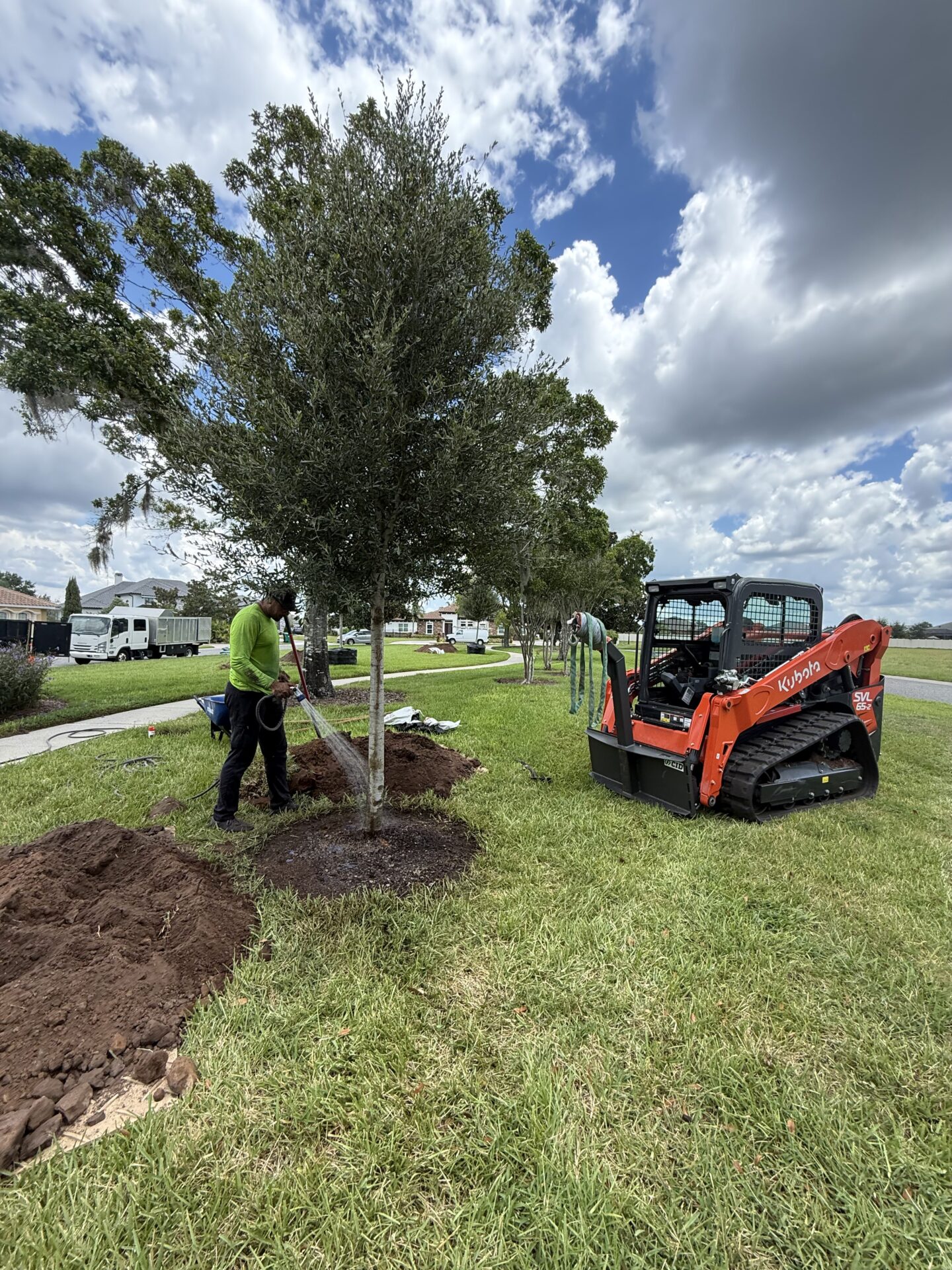 A person waters a newly planted tree beside an orange skid steer under a partly cloudy sky in a grassy suburban area.