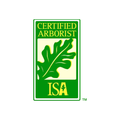 Logo with green oak leaf silhouette, labeled "Certified Arborist" and "ISA" beneath in yellow letters, symbolizing tree care expertise and certification.