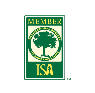 Logo of the International Society of Arboriculture featuring a tree silhouette, green and yellow colors, and the words "MEMBER" and "ISA."