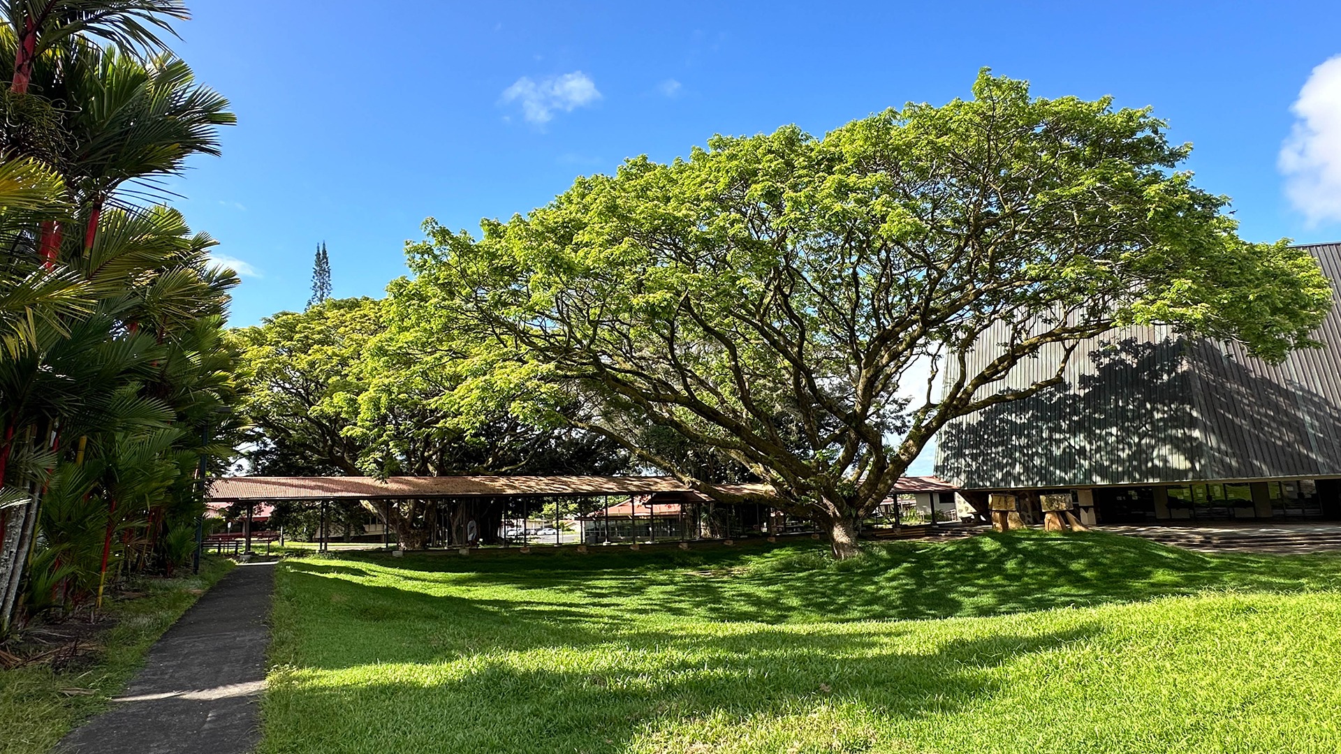 A lush green landscape with large trees and a modern building on a sunny day, featuring a clear blue sky backdrop.