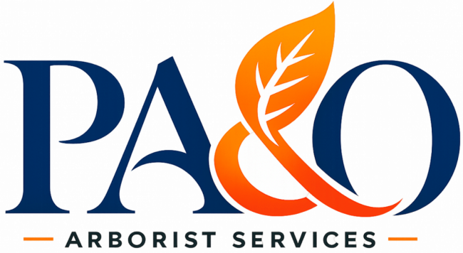 PAO_Logo_HighRes