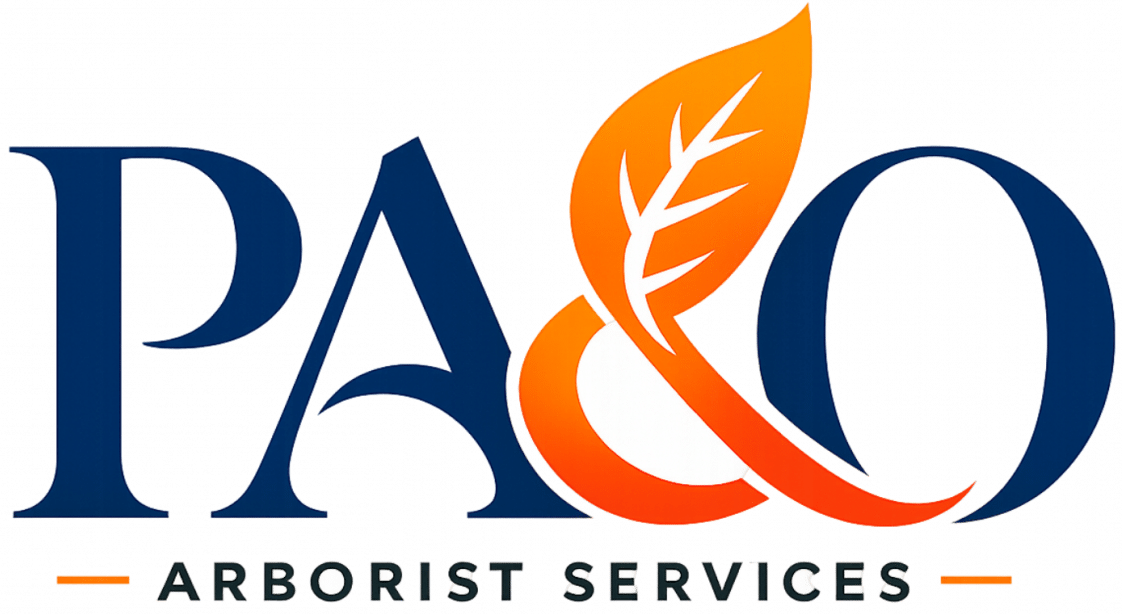 PAO_Logo_HighRes